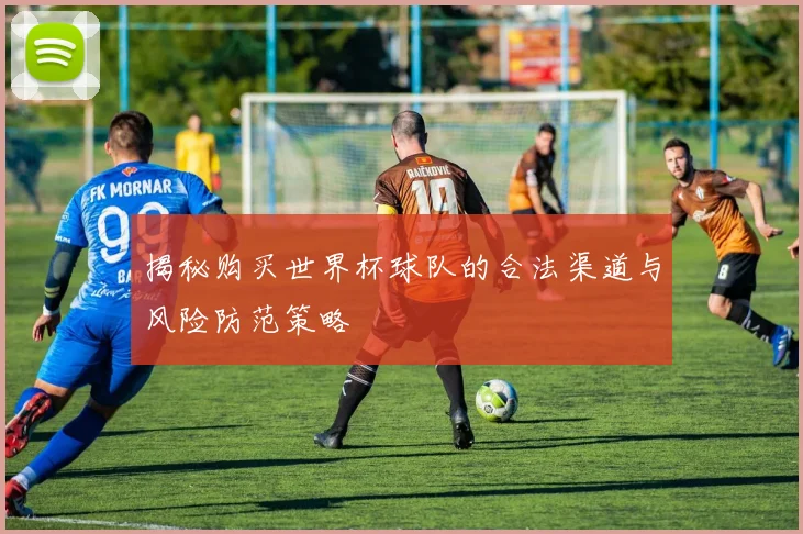 揭秘购买世界杯球队的合法渠道与风险防范策略