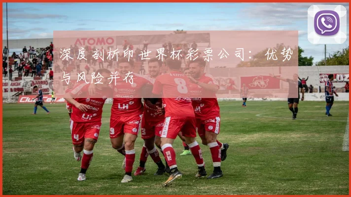 深度剖析印世界杯彩票公司:优势与风险并存