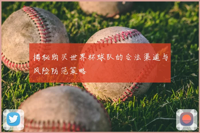 揭秘购买世界杯球队的合法渠道与风险防范策略
